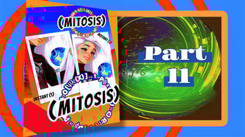 45886bf3-335e-4728-bf51-5c106b12639b-1